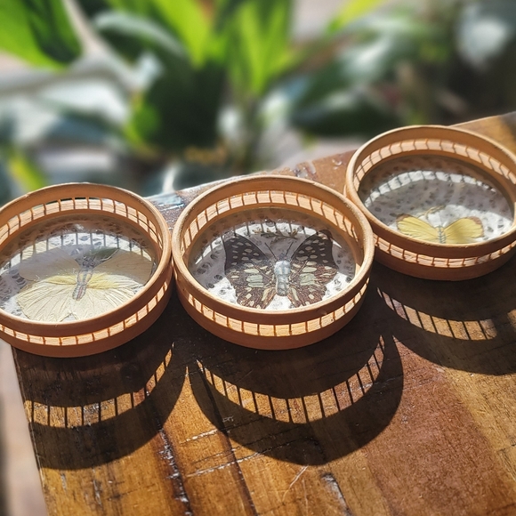 Set of 3 Butterfly 🦋 Coasters - Picture 6 of 6